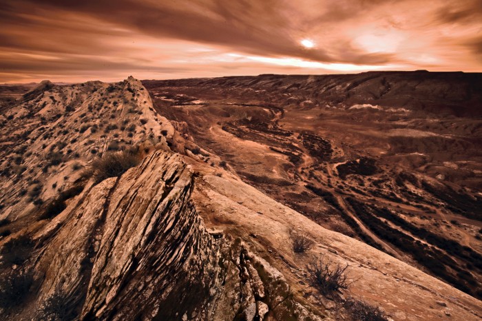 nature (20).jpg (1 MB)